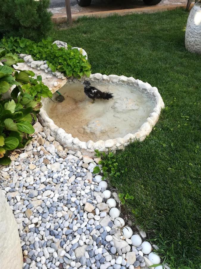 Apartmani Villa Otilija Poreč Zewnętrze zdjęcie